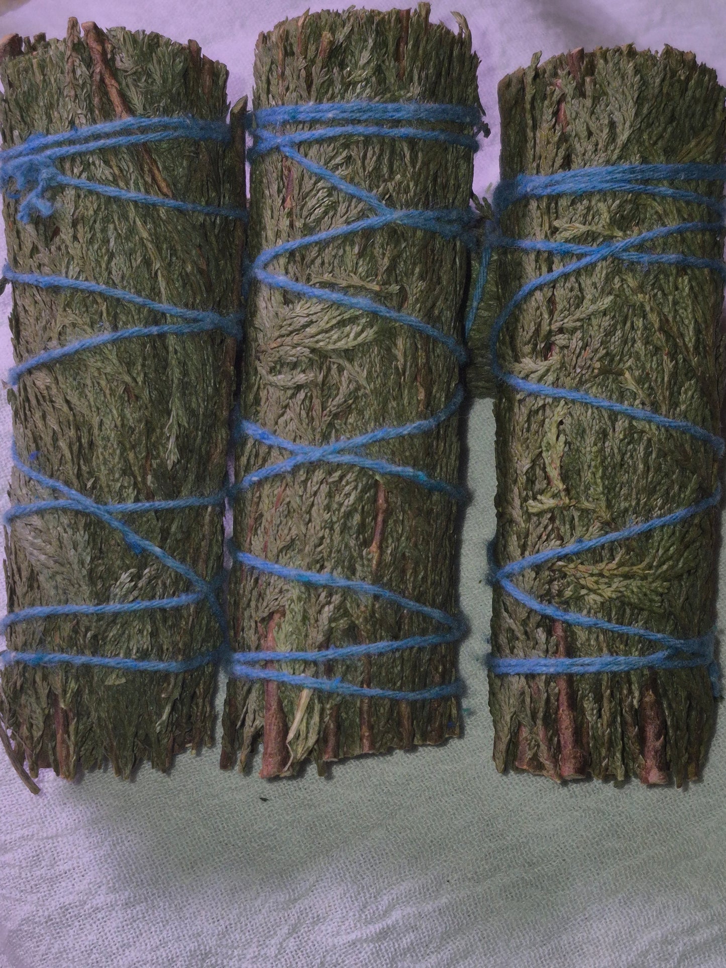 Cedar Sage